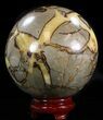 Polished Septarian Sphere - lbs (Cyber Monday Deal!) #43789-2